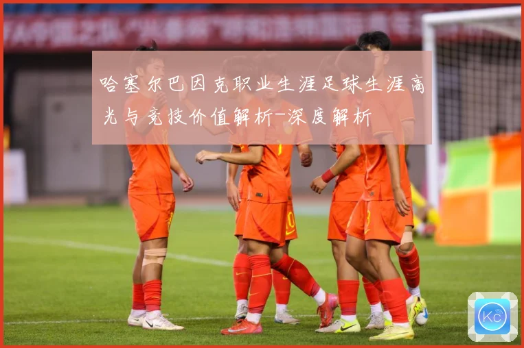 哈塞尔巴因克职业生涯足球生涯高光与竞技价值解析-深度解析