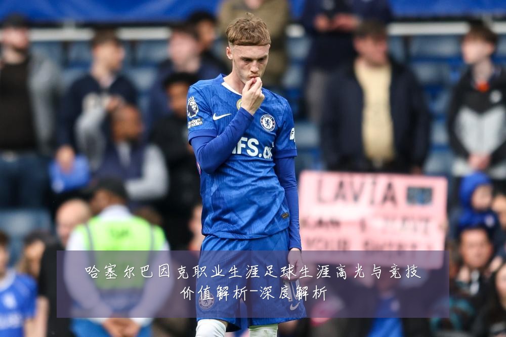 哈塞尔巴因克职业生涯足球生涯高光与竞技价值解析-深度解析